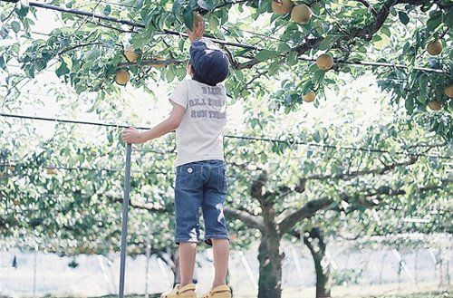 孩子写作业拖沓，自控力差怎么办？